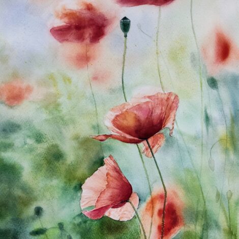 Original painting "Poppies"