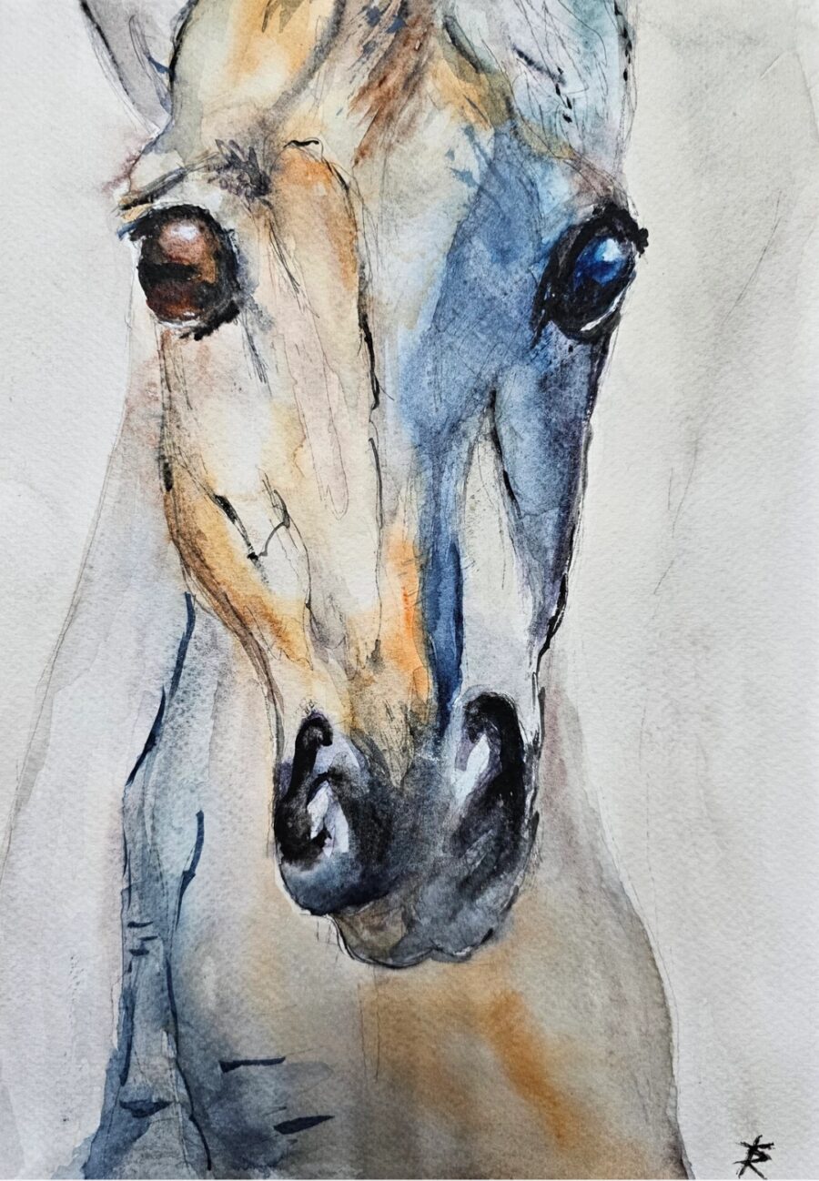Original painting "Various Views"